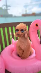 가나디들 모여라~~~